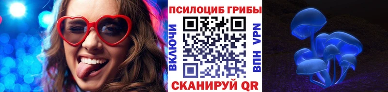 Псилоцибиновые грибы Psilocybe Олёкминск